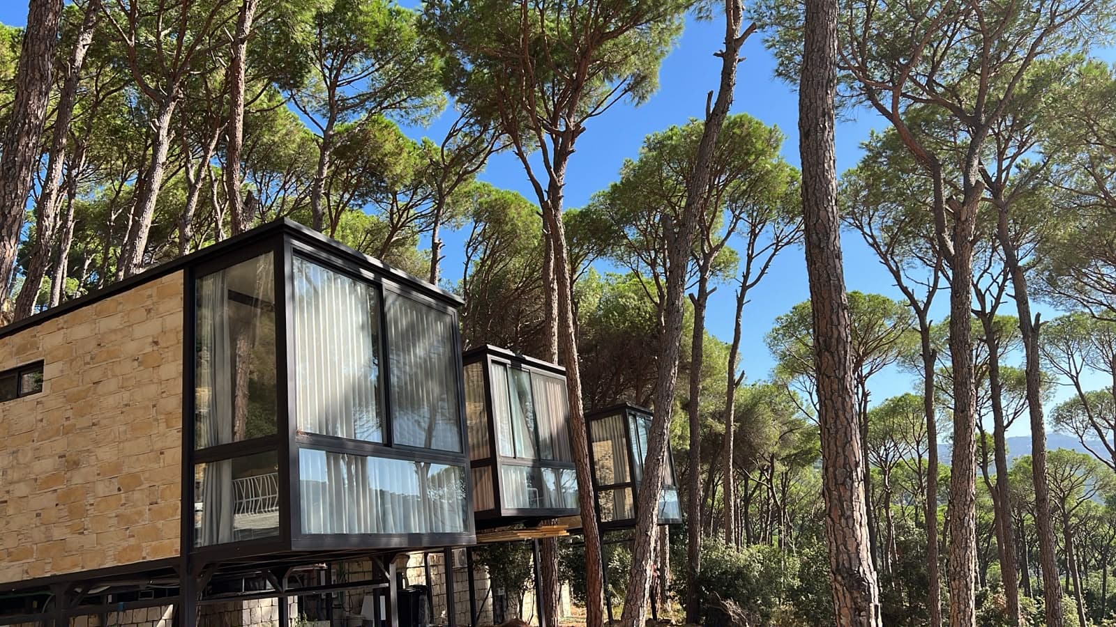 The glass fronts of the bungalows raised on steel legs under tall pines and a blue sky